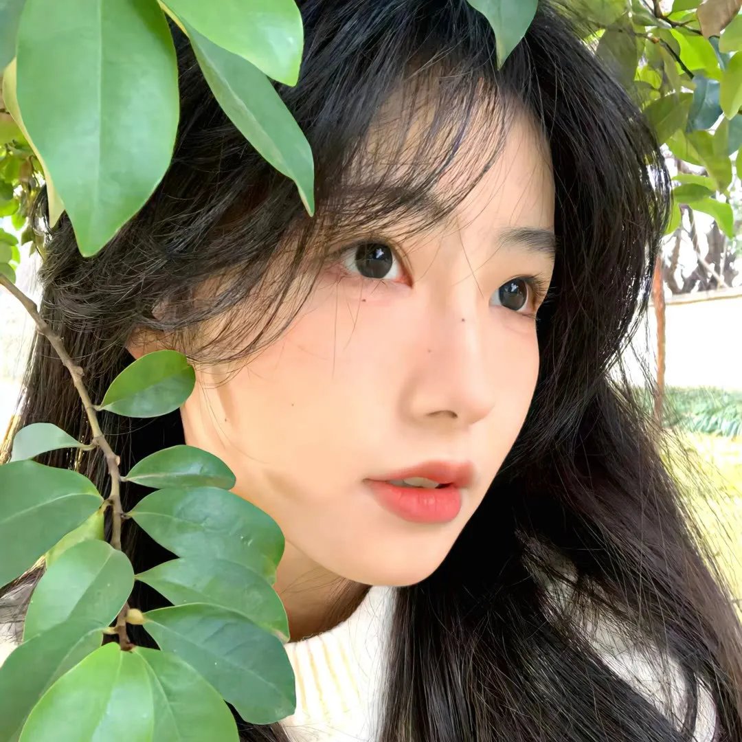 永恒的刀