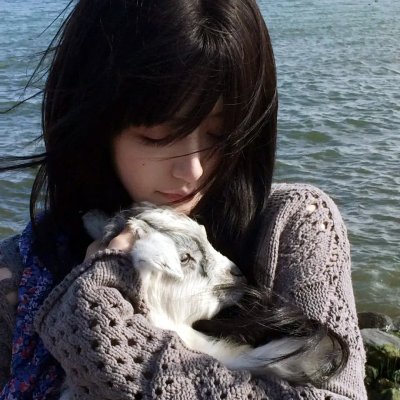 探险活宝第四季